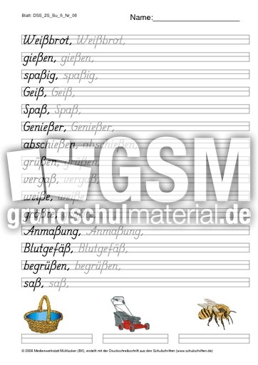 DSS_2S_Bu_ß_Nr_06.pdf